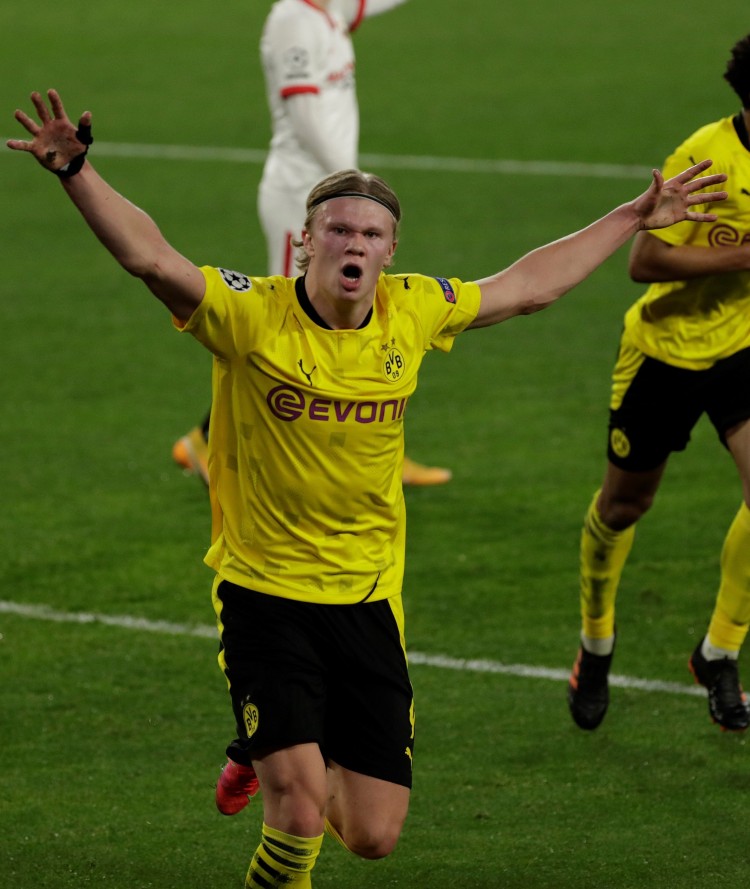 争夺殊荣 争夺殊荣