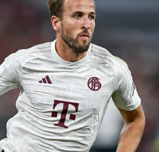 市场拓展方 市场拓展方